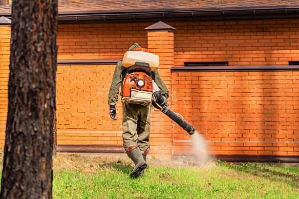 Bed Bug Clearance Verification and Documentation in North York